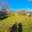 Prodej stavební parcely 791 m² Malhostovice