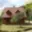 Prodej chalupy 180 m² Karolinka