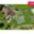 Prodej stavební parcely 1 061 m² Rajnochovice, 