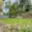 Pronájem zahrady 150 m² Kralupy nad Vltavou, Lutovítova