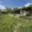 Prodej zahrady 192 m² Aš