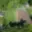 Prodej stavební parcely 663 m² Maršovice