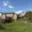 Prodej chaty 17 m² Gruna