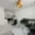 Pronájem bytu 2+kk 43 m² Vochov