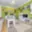 Prodej bytu 4+1 80 m² Klatovy, Zahradní