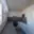 Pronájem bytu 2+kk 50 m² Roztoky, Masarykova