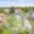 Prodej rodinného domu 154 m² Kralovice, Nová