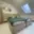 Pronájem bytu 2+kk 50 m² Praha, U Santošky