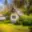 Prodej chaty 50 m² Borovnice