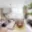 Prodej bytu 2+kk 57 m² Praha, Pod Formankou