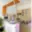 Pronájem bytu 2+kk 41 m² Česká Lípa, Bardějovská