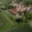 Prodej skladu 4 555 m² Ploskovice