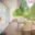 Pronájem bytu 4+kk 140 m² Praha Braník, Vlnitá