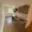 Prodej bytu 3+1 77 m² Chomutov, Kamenná