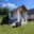 Prodej chaty 16 m² Tachov