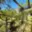 Prodej chaty 60 m² Postoloprty