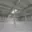 Pronájem skladu 36 000 m² Ostrava, Bohumínská