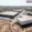 Pronájem výrobního objektu 1 500 m² Ostrava Vítkovice, Halasova