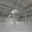 Pronájem výrobního objektu 6 000 m² Modřice, Evropská