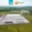 Pronájem skladu 10 000 m² Blučina, Hřbitovní