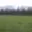 Prodej zemědělské půdy 45 730 m² Tachov