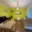 Prodej bytu 2+kk 43 m² Praha Hloubětín, Nademlejnská