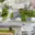 Prodej hotelu a penzionu 1 117 m² Olomouc Nové Sady, Rooseveltova