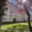 Prodej bytu 2+1 49 m² Horní Slavkov, Dlouhá