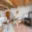 Prodej obchodu 233 m² Třebíč Vnitřní Město, Hasskova