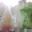 Prodej bytu 3+1 66 m² Praha Bohnice, Eledrova