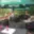 Pronájem restaurace 360 m² Ústí nad Labem -centrum, Horova