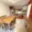Pronájem bytu 4+kk 70 m² Praha, Zelená