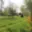Prodej stavební parcely 2 291 m² Volfartice