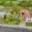 Prodej rodinného domu 120 m² Olbramovice Veselka