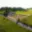 Prodej stavební parcely 1 477 m² Pyšely