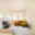 Pronájem bytu 1+1 40 m² Praha, Přibyslavská