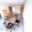 Pronájem bytu 2+1 60 m² Holubice, Na Vsi