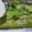 Prodej stavební parcely 760 m² Milovice