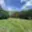 Prodej stavební parcely 5 654 m² Řeka