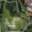 Prodej stavební parcely 10 601 m² Vysoký Chlumec