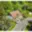 Prodej chalupy 158 m² Merboltice