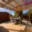 Prodej zahrady 429 m² Žatec, 
