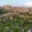 Prodej zahrady 1 035 m² Znojmo