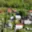 Prodej chaty 52 m² Chbany
