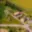 Prodej stavební parcely 1 707 m² Církvice, 