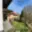 Prodej rodinného domu 160 m² Mišovice
