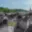 Pronájem bytu 2+1 100 m² Trutnov Dolní Předměstí, Polská