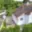 Prodej rodinného domu 110 m² Praha Kolovraty, Nad dvorem