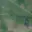 Prodej zemědělské půdy 4 871 m² Vracov