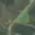 Prodej zemědělské půdy 9 106 m² Lešetice